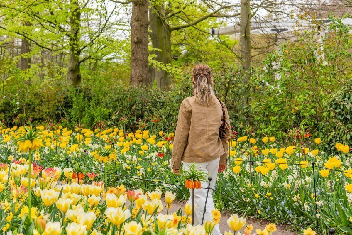 Promenade dans le parc