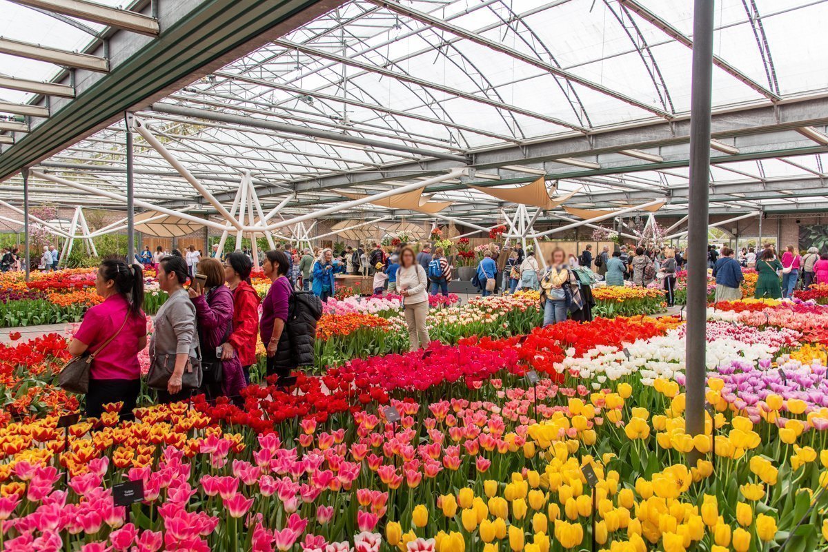 Serres florales